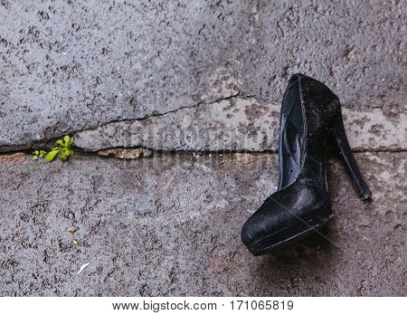 Black women's velvet dirty pump shoe on high heel lost or left on gray asphalt with a green plant coming breaking the ground