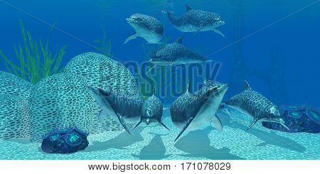 Dolphins Underwater 3d illustration - A pod of Bottlenose dolphins look for their next meal on a coral reef in clear tropical ocean waters.