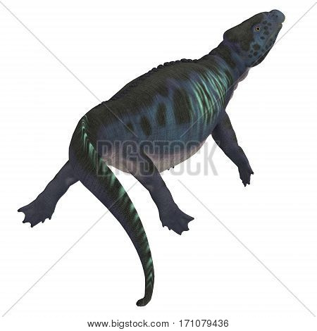 Placodus Dinosaur Tail 3d illustration - Placodus was a marine reptile that swam in the shallow seas of the Triassic Period in Europe and China.