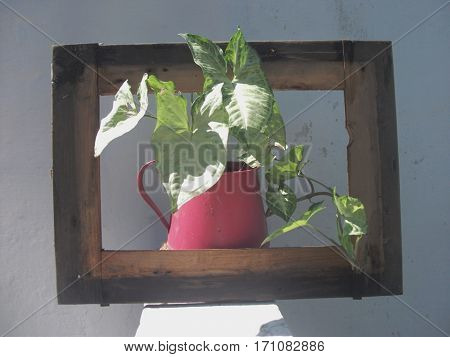 Escaping from the picture: flowered plant in pot inside a wooden frame simulating a painting that is alive