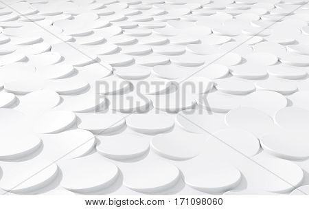 White On White Scale Peels