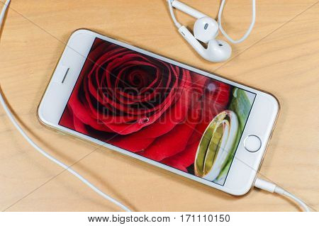 St. Valentine's Day, a rose with rings and placed on the mobile phone