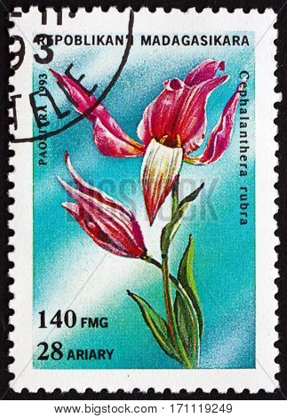 MALAGASY - CIRCA 1993: a stamp printed in Malagasy Madagascar shows Red helleborine cephalanthera rubra orchid circa 1993