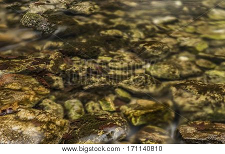 Biely Creek With Stones And Clean Water In Slovakia Mountains
