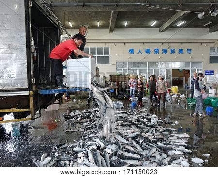 Selling Grey Mullet Fish In Taiwan