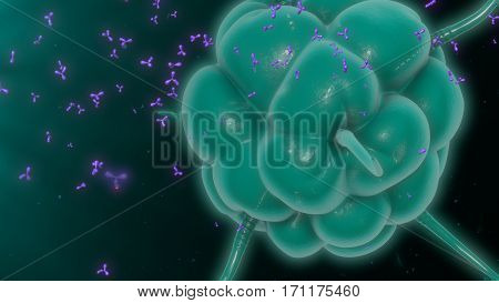 The microphage is a large white blood cell that is an integral part of our immune system. 3D