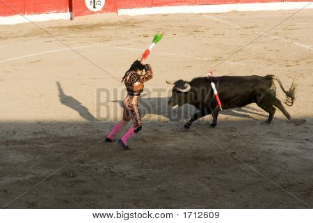 Corrida walki byków w Hiszpanii