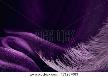 Wave of elegant violet textile texture with fine pink feather. Beautiful delicate and gentle background