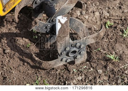 Garden tiller to work tractor cultivating field at spring loosens soil by petrol cultivator close-up