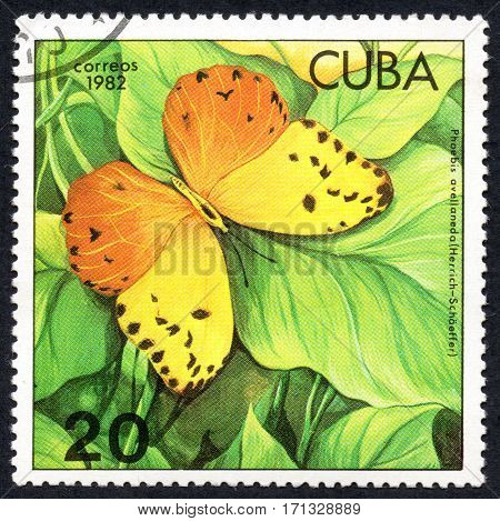 UKRAINE - CIRCA 2017: A stamp printed in Cuba shows image of a butterfly Phoebis avellaneda Herrich-Schaeffer close-up circa 1982