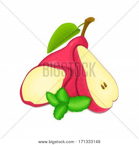 Vector composition of a few red pears and mint leaves. Red pear fruits appetizing looking. Group of tasty ripe pear with pepper mint leaf packaging design of juice, breakfast, healthy vegan food