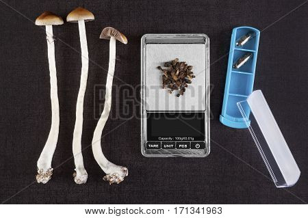 Fresh and dried psilocybin mushroom gelcaps and digital pocket scale on black background top view. Psychedelic therapeutic use.