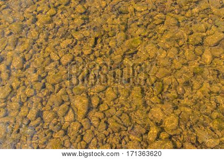 Trout fishing on the mountain river, very beautiful nature.