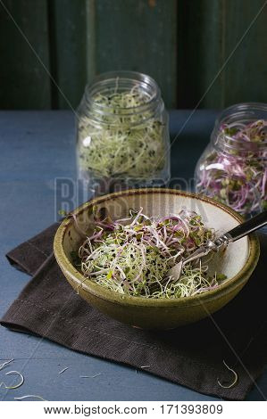 Fresh  Sprouts Salad