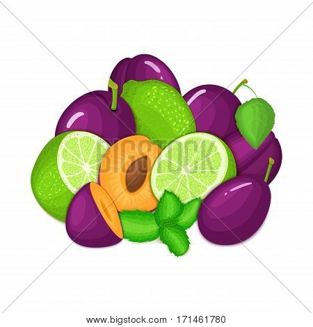 Composition of several plum citrus lime fruit and mint leaves. Ripe vector plums limes fruits with fresh pepper mint leaf. Group of tasty fruits for design packaging juice cocktail healthy food