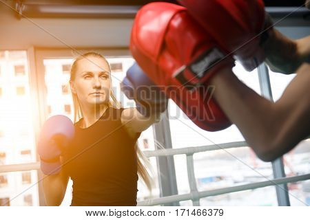 Young sportswoman engaged in boxing in gym