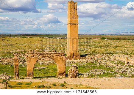 This is the picture of the World's first university Harran University. The remainings of the university is located in Sanliurfa Turkey. The shot was taken cloudy day. tower and some parts are still visible.