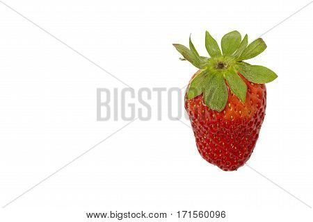 closeup sweet beautiful strawberries isolated on White