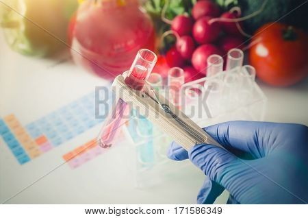 GMO Genetically modified food in lab concept. Analyst in gloves takes test tube.