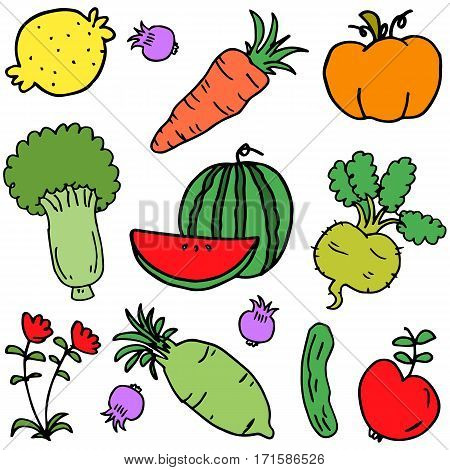 Vector illustration of vegetable set collection stock