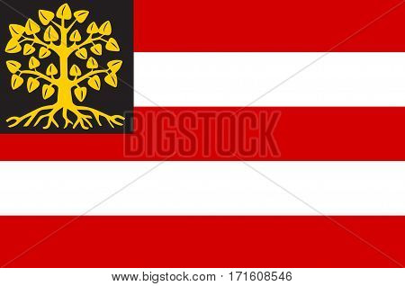Flag of Hertogenbosch is a city and municipality in the southern Netherlands. It is the capital of the province of North Brabant