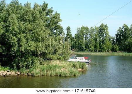 De Biesbosch National Park,