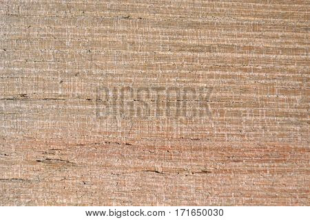 Fine texture of old and natural acacia wood.