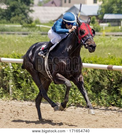 Horse racing for the traditional prize Evtushenko in Nalchik,Caucasus,Russia.