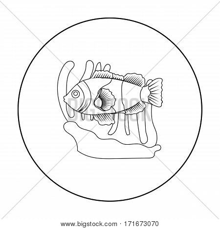 Clownfish and anemone icon in outline design isolated on white background. Australia symbol stock vector illustration.