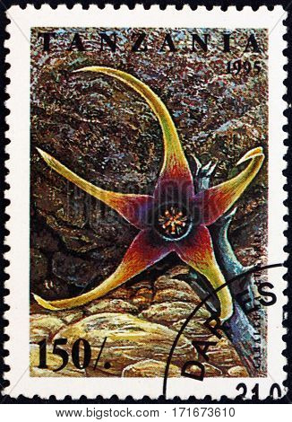 TANZANIA - CIRCA 1995: a stamp printed in Tanzania shows Caralluma lugarii flowering plant circa 1995