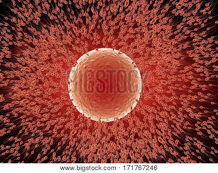 3d rendering sperm fertilize with red ovum