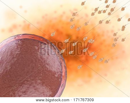 3d rendering sperm fertilize with red ovum