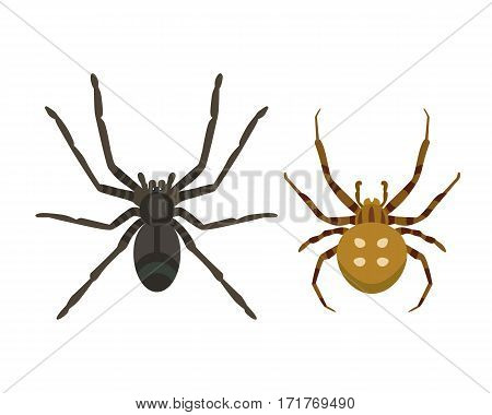 Spider silhouette arachnid fear graphic flat scary animal poisonous design nature phobia insect danger horror tarantula halloween vector icon. Creepy warning symbol poison silhouette.