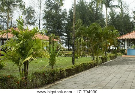 turtle farm breeding pool to maintain the treatment of the population of Thailand