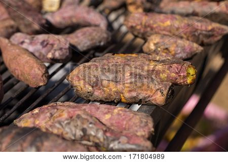 Oven baked sweet potatoes In the garden.