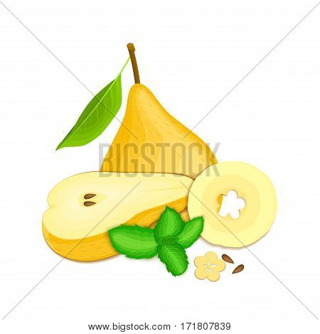 Vector composition of a few yellow pears and mint leaves. Yellow pear fruits appetizing looking. Group of tasty ripe pear with pepper mint leaf packaging design of juice, breakfast, healthy vegan food