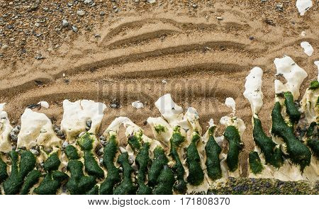Beach at Rottingdean near Brighton East Sussex England. Close up of sand pebbles chalk rock and seaweed