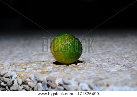 Wet lemonsito (kalamansi) is lying on an artificial stone surface, Panglao, Philippines