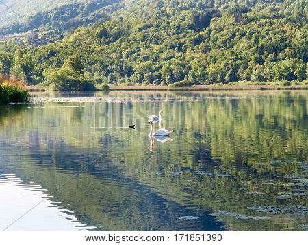 Lake Piano In The Val Menaggio