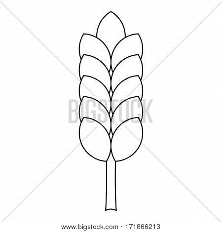 Big spica icon. Outline illustration of big spica vector icon for web