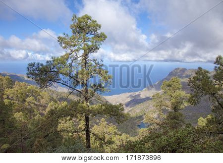 Central Gran Canaria In January