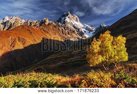 Autumn landscape and snowy peaks in the sun. Main Caucasian Ridge. Mountain View from Mount Ushba Mheyer, Georgia. Europe