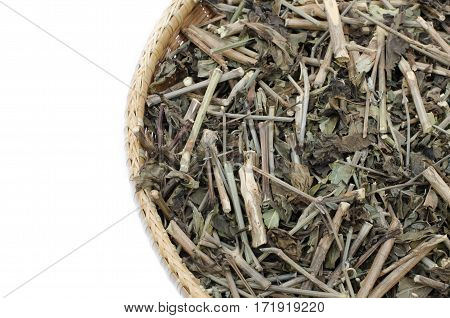 Thai herb scientific name Rhinacanthus nasutus (L.) Kurz (White crane flower ) isolated on white background