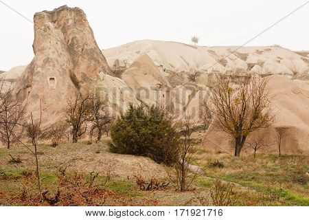 View Of Pidgeon Valley