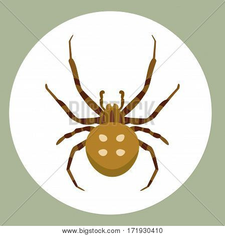 Spider silhouette arachnid fear graphic flat scary animal poisonous design nature phobia insect danger horror tarantula halloween vector icon. Creepy warning symbol poison silhouette.