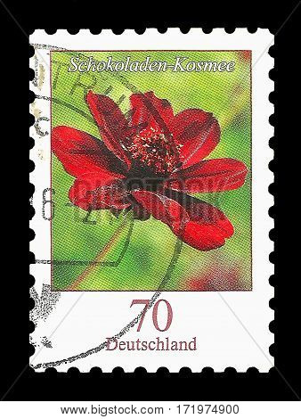 Postage Stamp : Germany 2015 Chocolate Cosmos Flower Schokoladen-Kosmee - Cosmos atrosanguineus (Hook.) Voss 1894