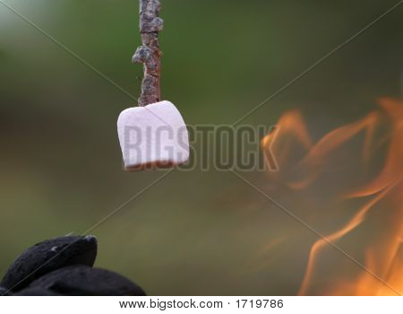 Marshmallow rösten