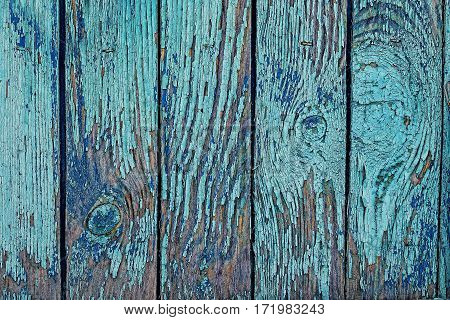 Old cracked fence with blue shabby paint. Textured background
