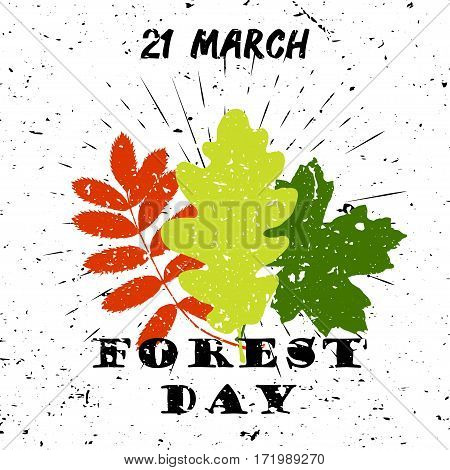 International day of forest 21 March Black Lettering Typography with oak, marple, rowan tree leaves burst on a Old Textured Background. Vector illustration for cards, banners, print