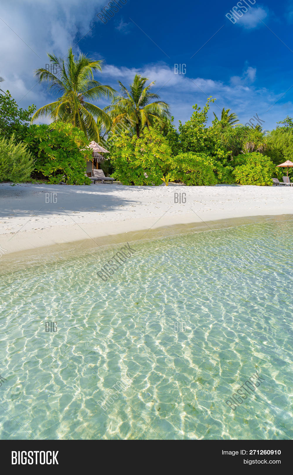 Vertical Beach Scene, Image & Photo (Free Trial) Bigstock